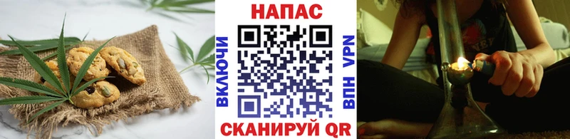 где купить наркотик  Магадан  Cannafood конопля 