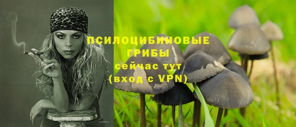 а пвп мука Абаза