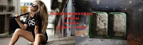 а пвп мука Абаза