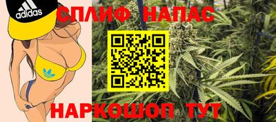 амф Донской
