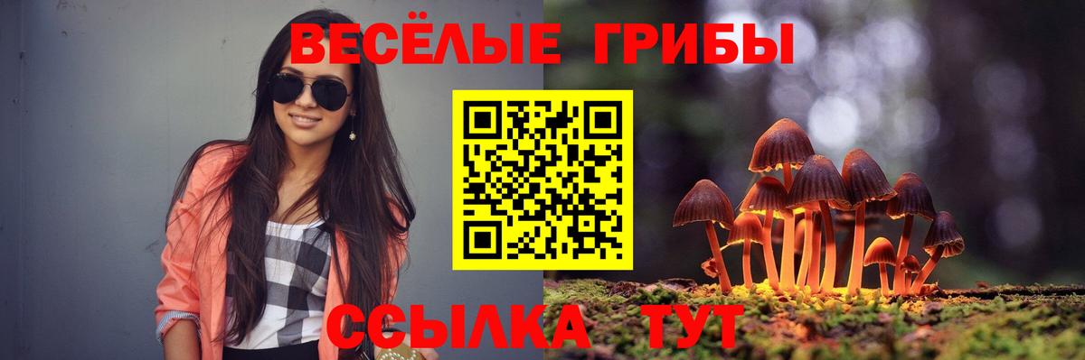 Галлюциногенные грибы MAGIC MUSHROOMS  Вход с VPN  Псилоцибиновые грибы MAGIC MUSHROOMS  Магадан 